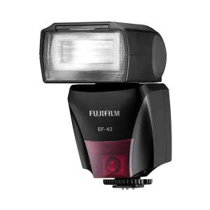 Fuji Flash EF 42 (Shoe Mount Flash)