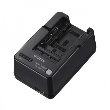 Sony Charger BC QM1